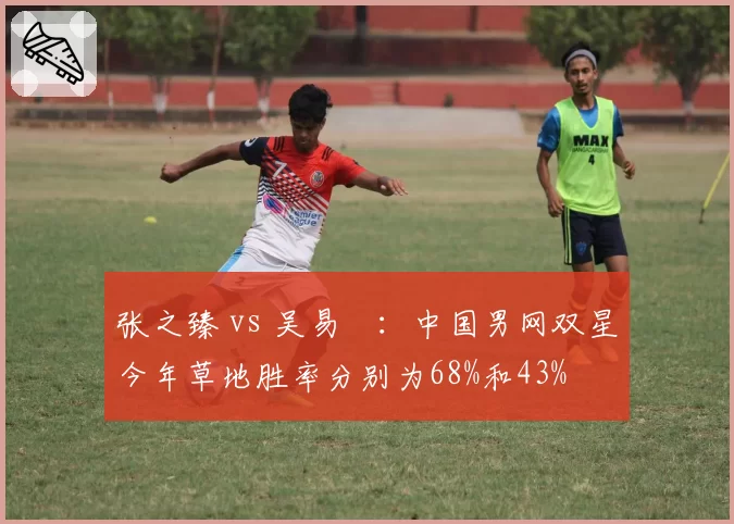 张之臻 vs 吴易昺：中国男网双星今年草地胜率分别为68%和43%