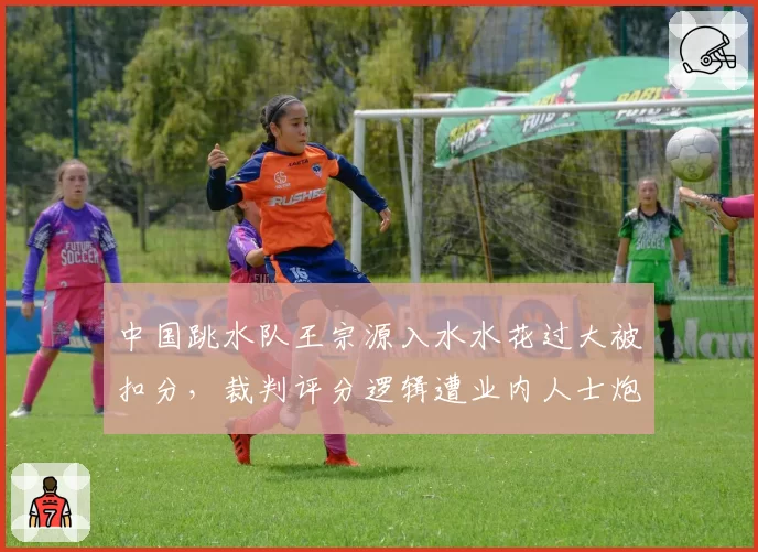 中国跳水队王宗源入水水花过大被扣分,裁判评分逻辑遭业内人士炮轰
