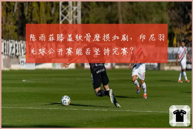 陈雨菲膝盖软骨磨损加剧,印尼羽毛球公开赛能否坚持完赛?